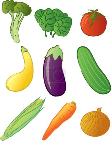 Téléchargez les illustrations : Ensemble de légumes. isolé sur fond blanc, illustration vectorielle - en licence libre de droit