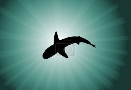 Téléchargez les illustrations : Illustration vectorielle icône baleine - en licence libre de droit
