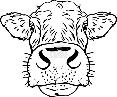 Téléchargez les illustrations : Illustration vectorielle tête de vache. - en licence libre de droit