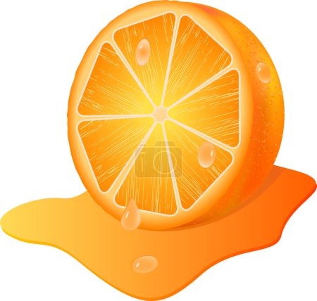 Illustration for Orange with slice of water splash - Royalty Free Image