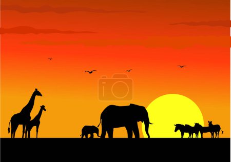 Ilustración de Ilustración de la familia de la jirafa con animales salvajes al atardecer. ilustración vectorial. - Imagen libre de derechos