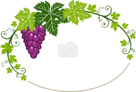 Téléchargez les illustrations : Raisins aux feuilles vertes - en licence libre de droit