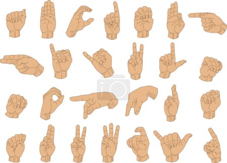 Illustration for Vector Illustration of Sign Language Hand Gestures. - Royalty Free Image