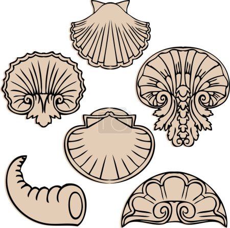 Illustration for Set of sea shells, sea animals - Royalty Free Image