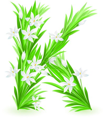 Ilustración de Flores de lirio aisladas sobre fondo blanco - Imagen libre de derechos
