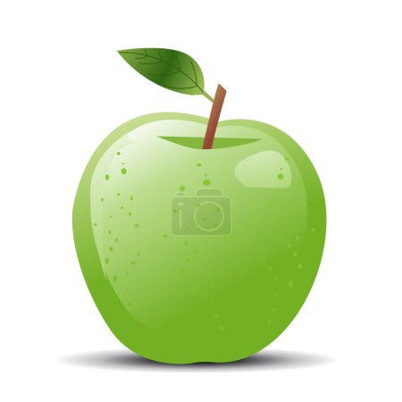 Ilustración de Fruta de manzana verde fresca con hoja. ilustración vectorial - Imagen libre de derechos