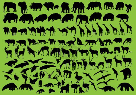 Téléchargez les illustrations : Silhouettes d'animaux sauvages - en licence libre de droit