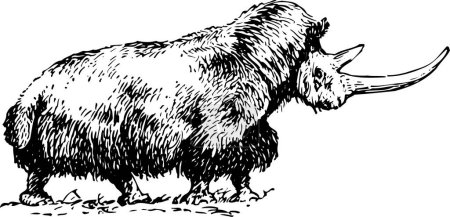 Illustration for Sketch illustration of the bison - Royalty Free Image