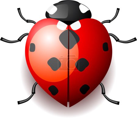 Illustration for Red ladybug with black spots on white background - Royalty Free Image