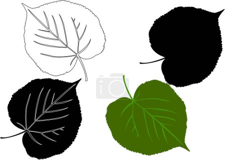 Ilustración de Conjunto de diferentes hojas de otoño, ilustración vectorial - Imagen libre de derechos