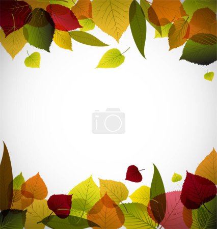 Illustration for Autumn leaves vector illustration - Royalty Free Image
