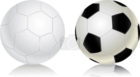 Illustration for Soccer balls isolated on white background - Royalty Free Image