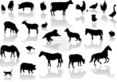 Illustration for Silhouettes of a horses - Royalty Free Image
