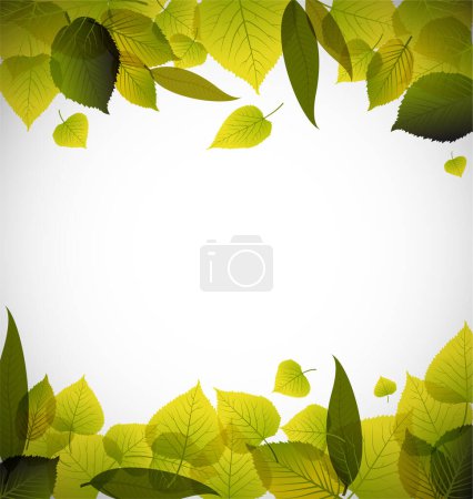Illustration for Green leaves on white background - Royalty Free Image