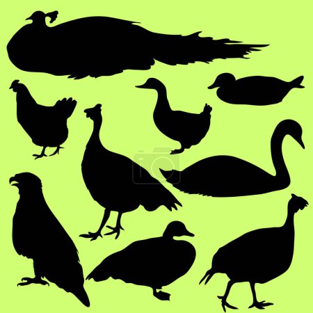 Téléchargez les illustrations : Conception d'illustration vectorielle Farm Birds - en licence libre de droit