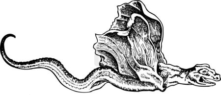 Téléchargez les illustrations : Illustration d'un dinosaure noir et blanc - en licence libre de droit
