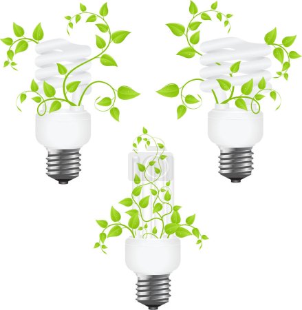 Illustration for Light bulb in green leaves. eco friendly idea - Royalty Free Image