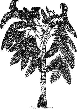 Illustration for Tree with black and white ink on white - Royalty Free Image