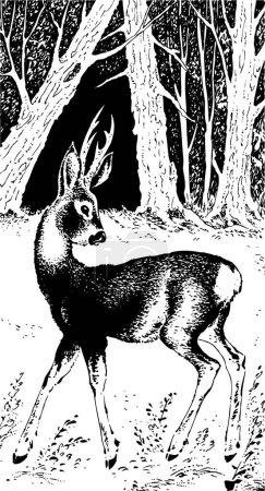 Illustration for Black and white image of deer - Royalty Free Image