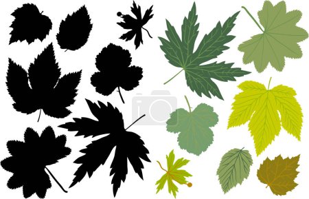 Téléchargez les illustrations : Ensemble de feuilles d'automne - en licence libre de droit