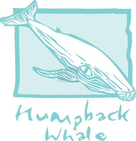Ilustración de Vector ilustración de ballena jorobada - Imagen libre de derechos