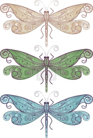 Illustration for Set of vintage dragonfly decorative elements - Royalty Free Image