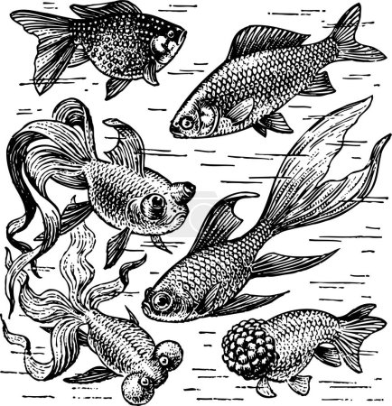 Téléchargez les illustrations : Ensemble vectoriel de carpes et créatures marines. - en licence libre de droit