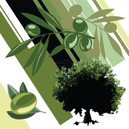 Téléchargez les illustrations : Olivier et olives sur fond blanc et vert - en licence libre de droit