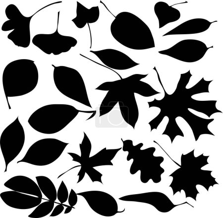 Téléchargez les illustrations : Ensemble de feuilles de silhouette noire. - en licence libre de droit