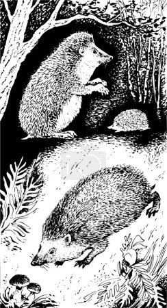 Ilustración de Ilustración en bosque blanco - Imagen libre de derechos