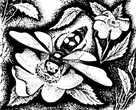Téléchargez les illustrations : Croquis de fleurs dessiné à la main - en licence libre de droit
