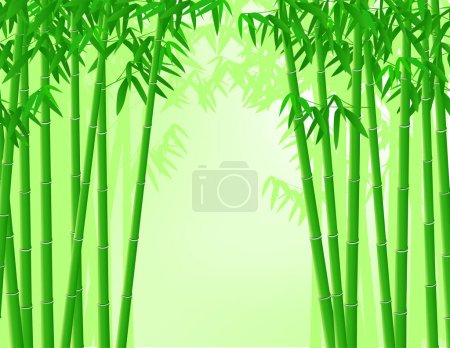 Illustration for Green bamboo tree background vector illustration - Royalty Free Image