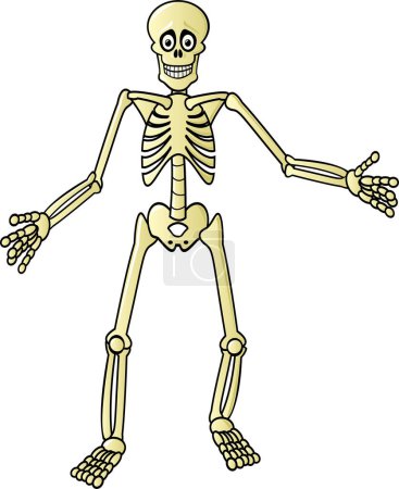 Ilustración de Una ilustración de dibujos animados de un esqueleto humano agitando. - Imagen libre de derechos