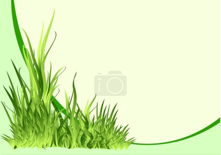 Illustration for Green grass on a white background. vector illustration. - Royalty Free Image