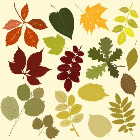 Ilustración de Conjunto de hojas de otoño. ilustración vectorial - Imagen libre de derechos