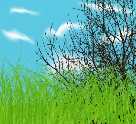 Illustration for Vector tree at spring green field and blue cloud sky - Royalty Free Image