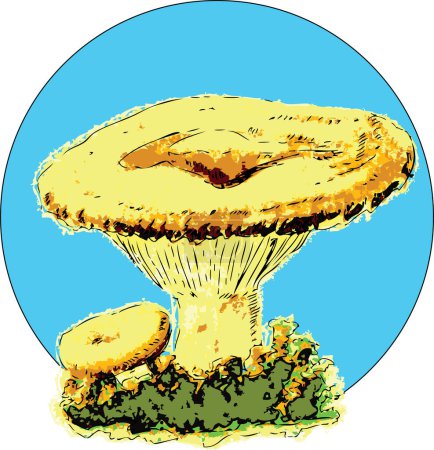 Illustration for Vector illustration of milk mushroom, edible fungus. Illustration in EPS. - Royalty Free Image