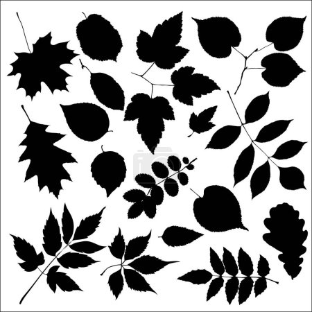 Téléchargez les illustrations : Ensemble de silhouette noire de feuilles d'automne - en licence libre de droit