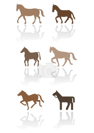 Illustration for Horses vector silhouettes on white background - Royalty Free Image