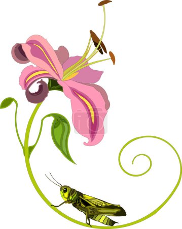 Ilustración de Hermoso fondo floral, diseño de vectores - Imagen libre de derechos