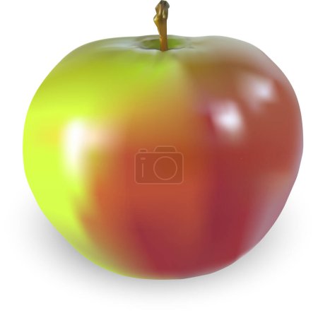 Illustration for Apple isolated on white background - Royalty Free Image