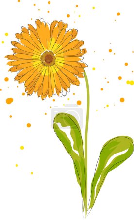 Ilustración de Flor amarilla con un fondo blanco. - Imagen libre de derechos