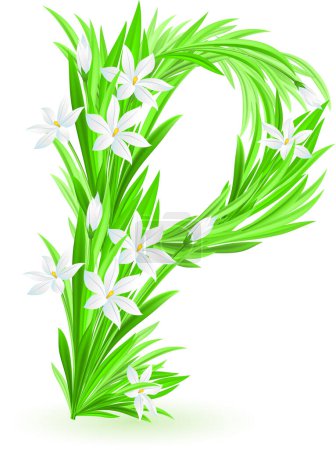 Ilustración de Ilustración vectorial. flores de lirios - Imagen libre de derechos