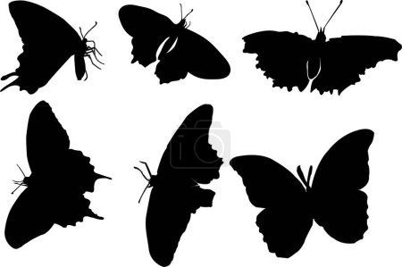 Ilustración de Conjunto de siluetas negras de mariposas
. - Imagen libre de derechos