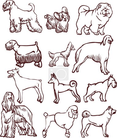 Téléchargez les illustrations : Ensemble de chiens. illustration vectorielle - en licence libre de droit