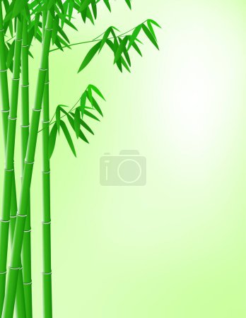 Illustration for Bamboo on light green background - Royalty Free Image