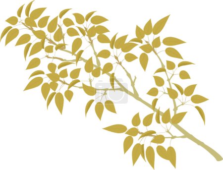 Illustration for Vector illustration, leaf, floral, element - Royalty Free Image