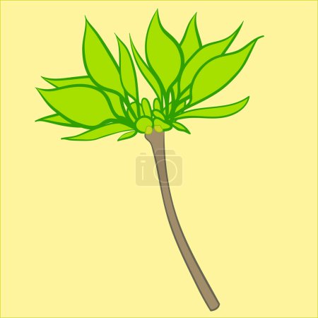 Illustration for Green leaf icon, cartoon style - Royalty Free Image