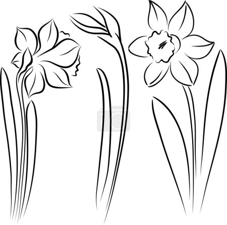 Téléchargez les illustrations : Ensemble de fleurs. noir et blanc. - en licence libre de droit