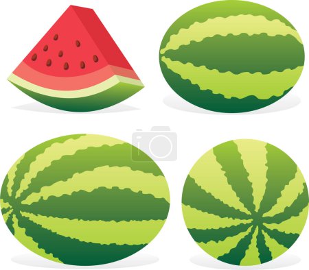Illustration for Collection of fresh watermelons, vector - Royalty Free Image
